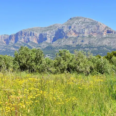 Apartmán Nuba - 5056 Jávea